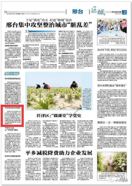 果果大作战