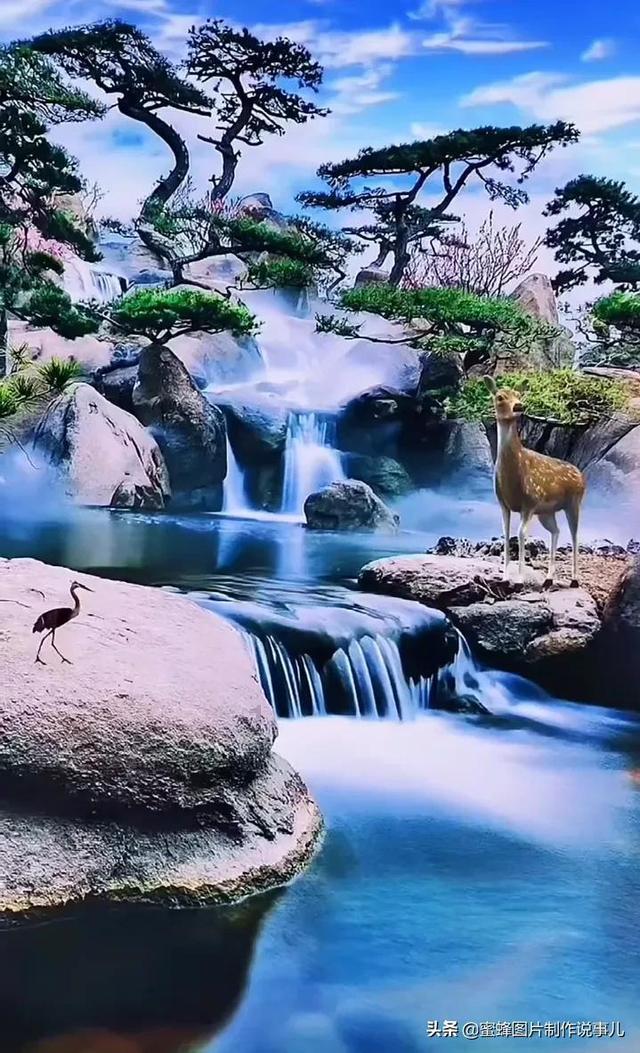 新黄金矿工
