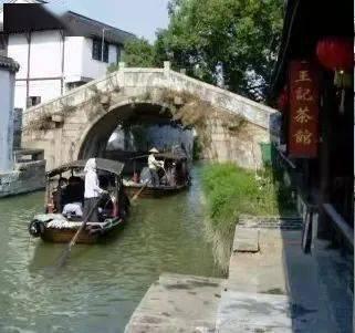 拯救蓝色小鸟